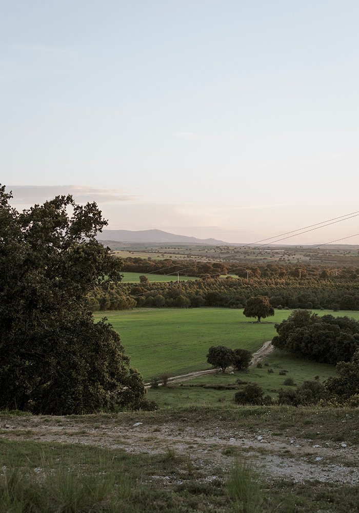 Hotel con actividades al aire libre en segovia