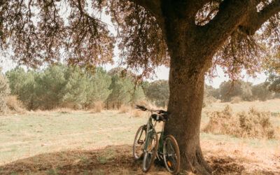 Escapadas de Primavera: Disfruta de un Fin de Semana Único en Aldeallana